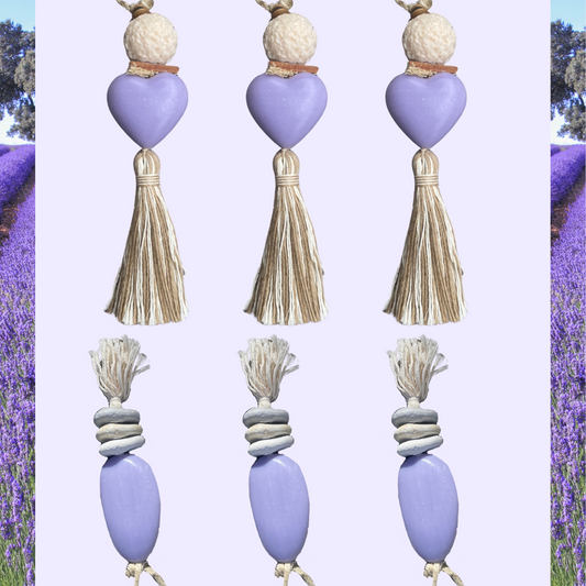 La collection Provence se refait une beauté